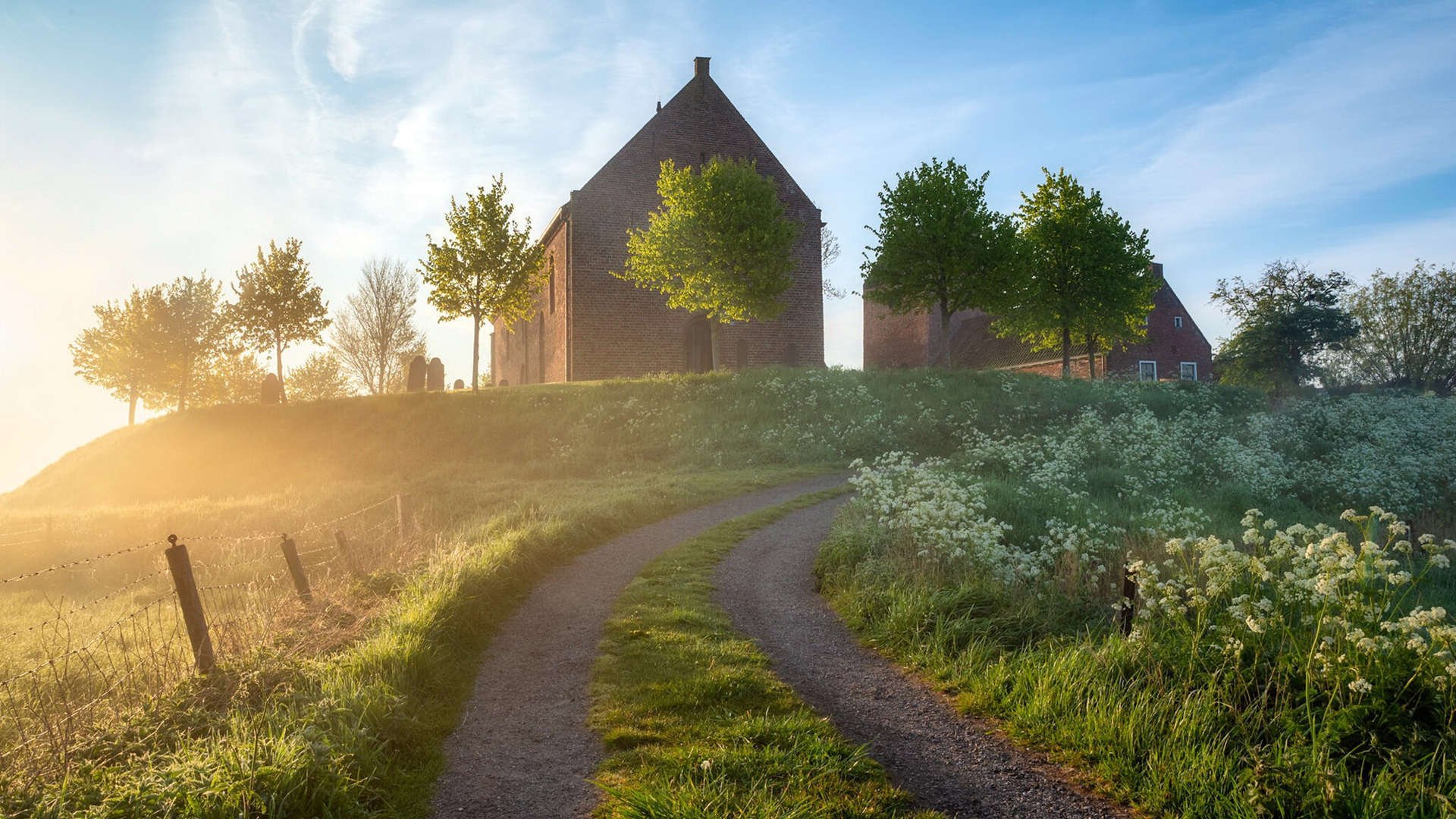 【天使队的磨合期】新援加入后战绩大幅提升，天使队队标