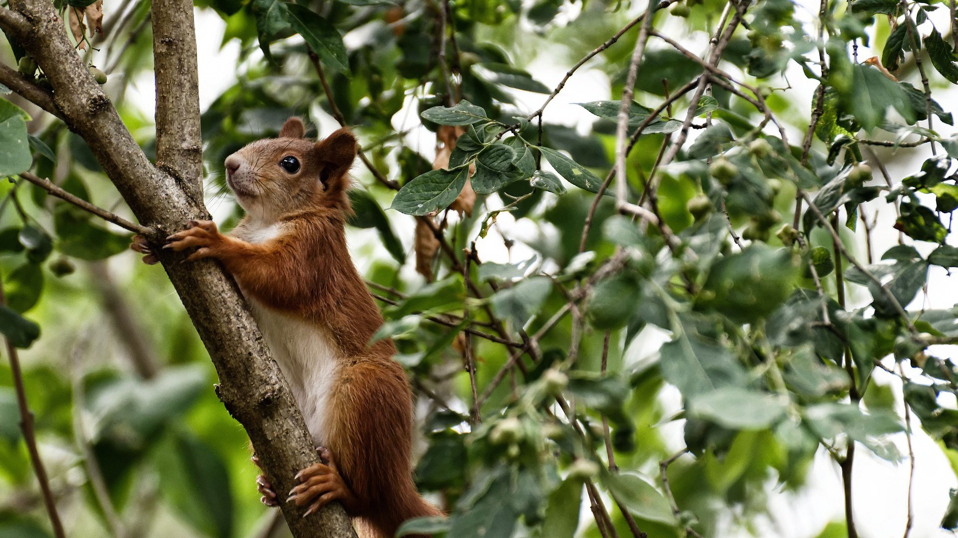乐趣无限：比赛之外的趣味娱乐一刻，乐趣无限什么意思