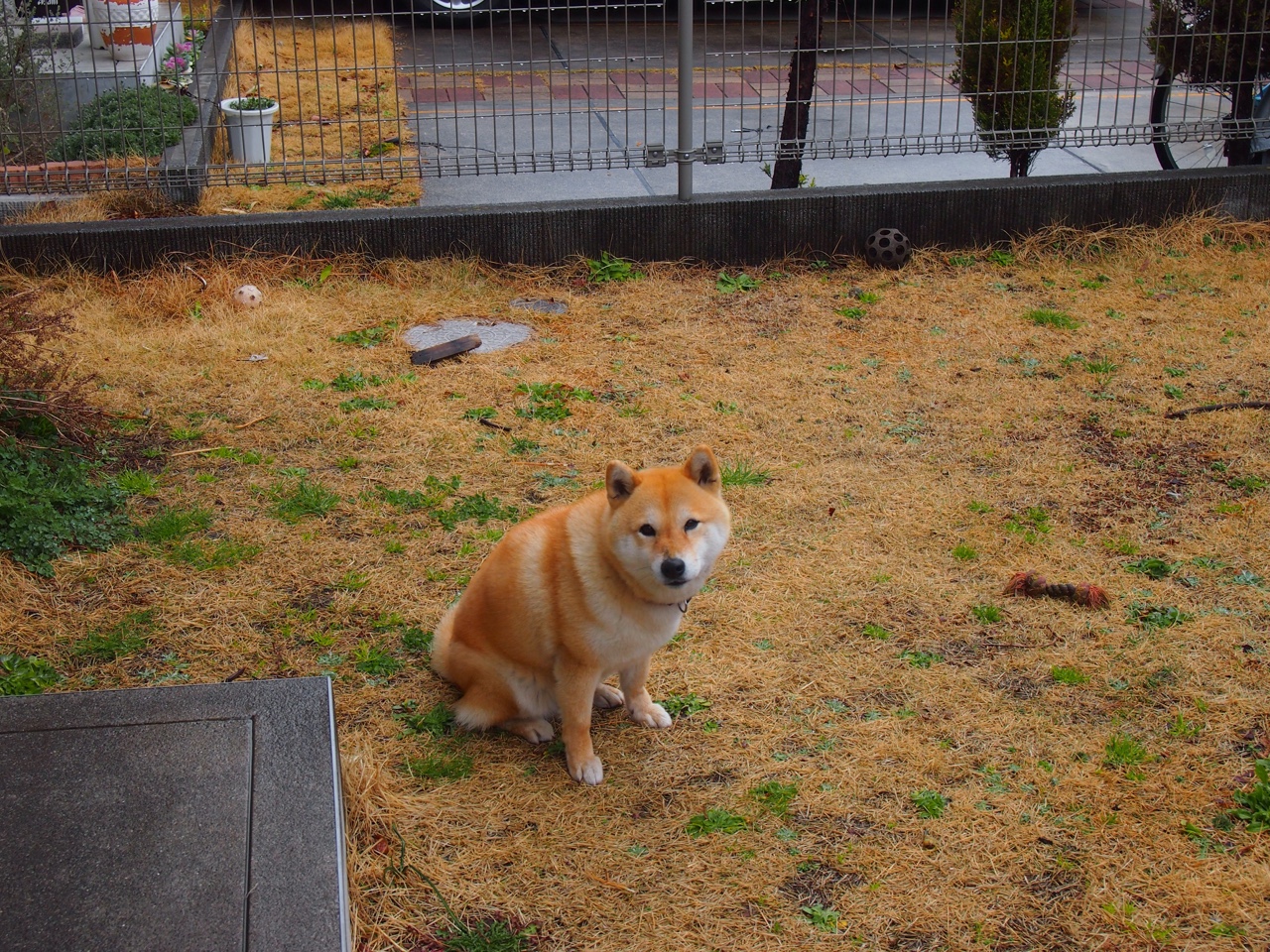 以足球文化促成长，打造具有特色的体育旅游产业，足球文化传承